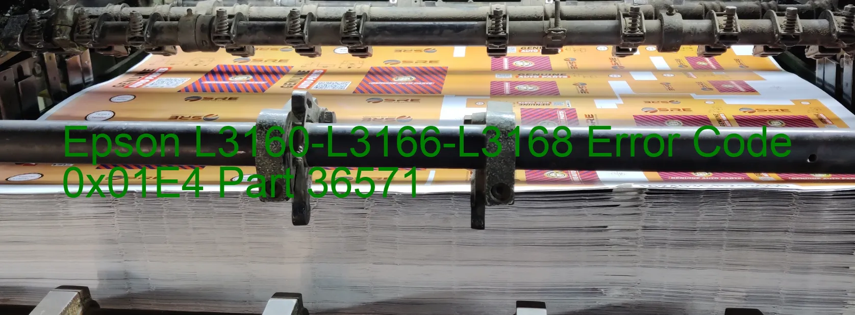 Epson L3160-L3166-L3168 Error Code 0x01E4 Part 36571