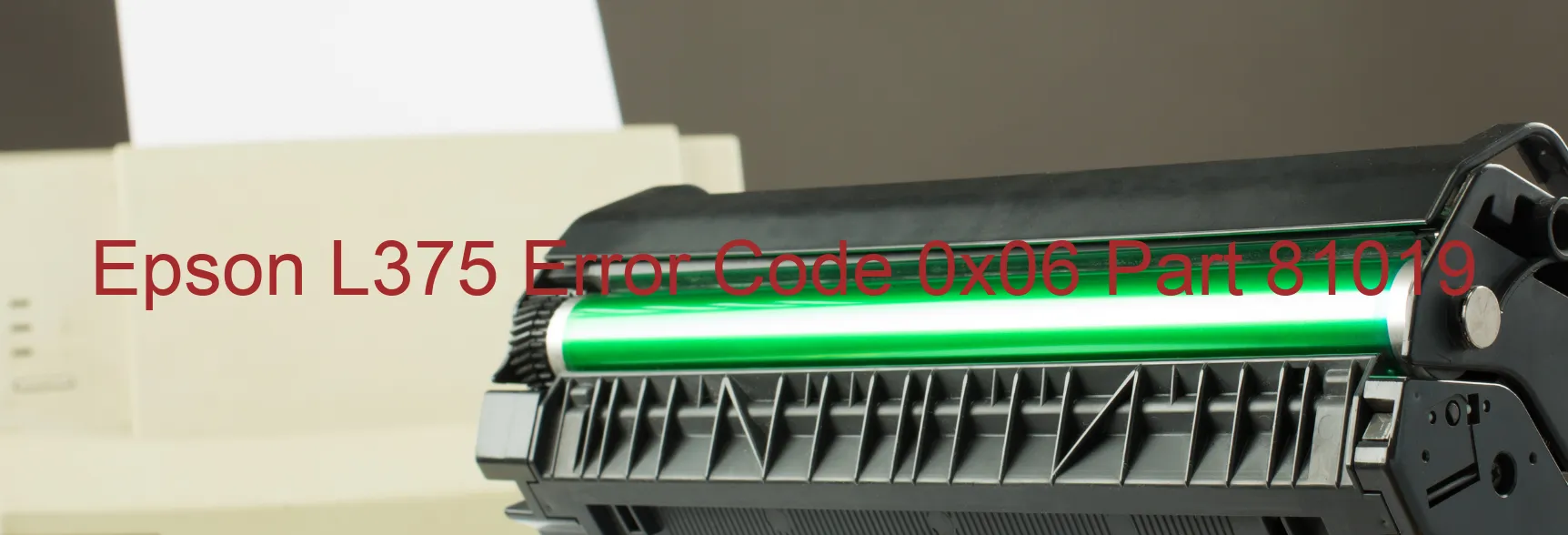 Epson L375 Error Code 0x06 Part 81019