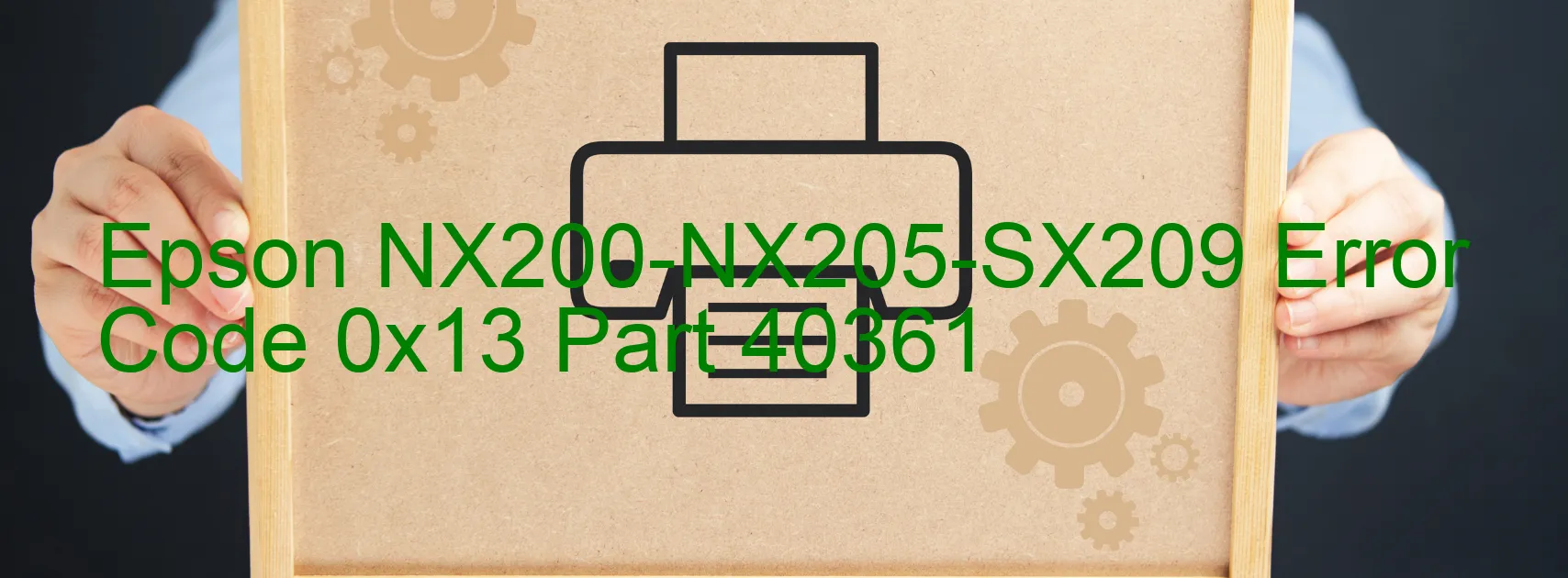 Epson NX200-NX205-SX209 Error Code 0x13 Part 40361