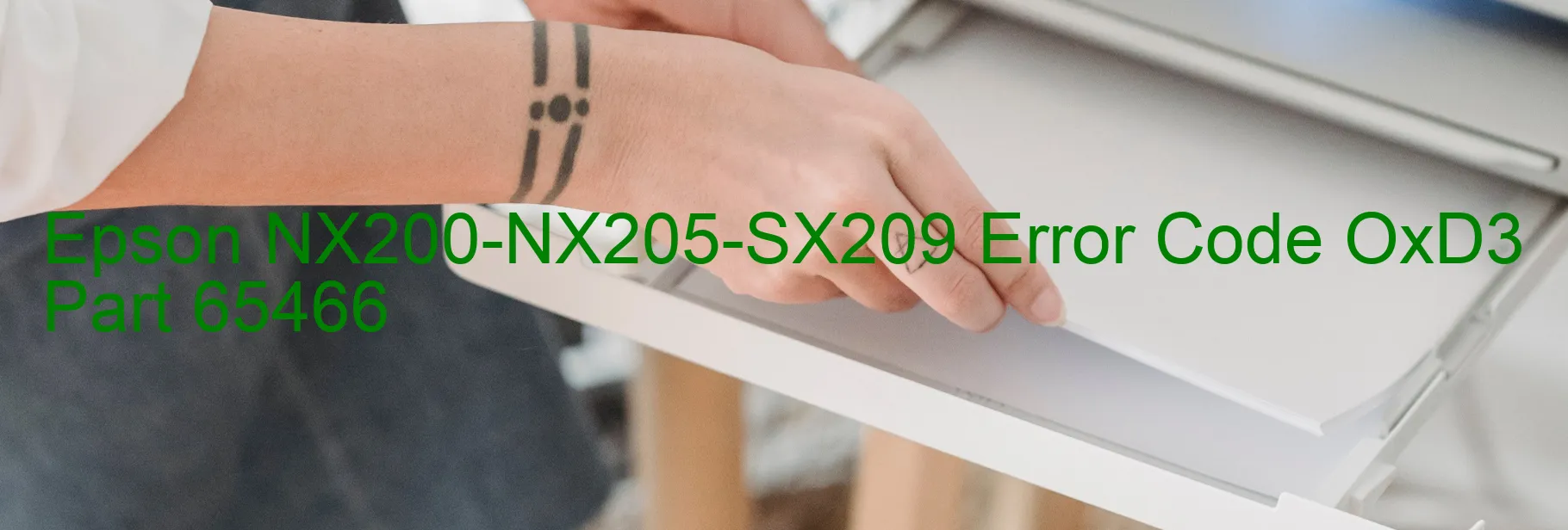 Epson NX200-NX205-SX209 Error Code OxD3 Part 65466