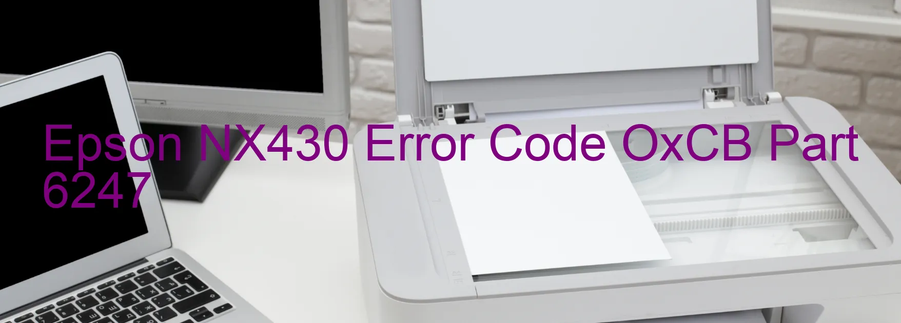 Epson NX430 Error Code OxCB Part 6247