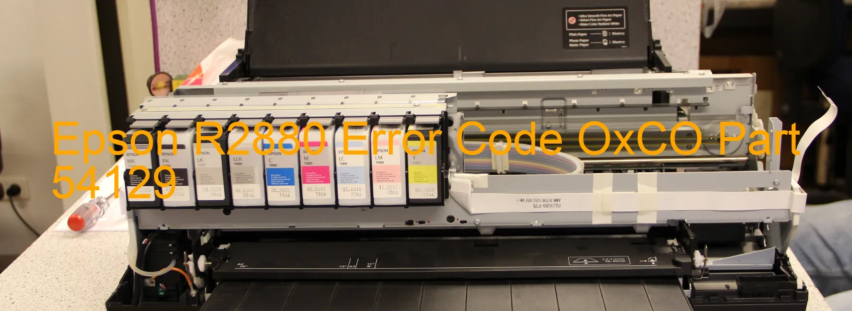 Epson R2880 Error Code OxCO Part 54129