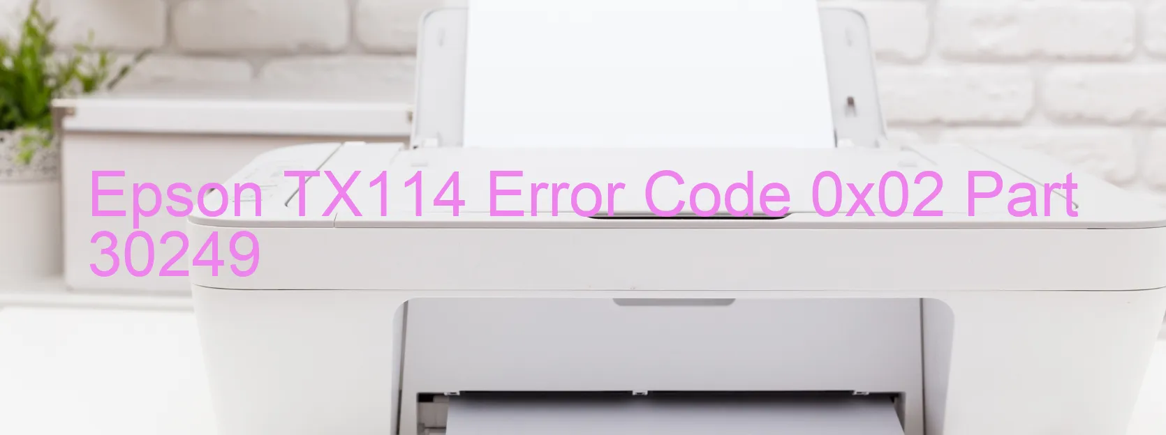 Epson TX114 Error Code 0x02 Part 30249