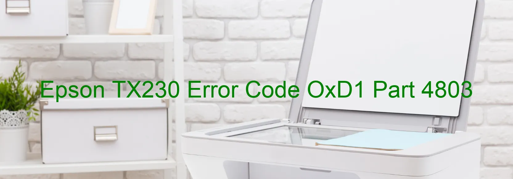 Epson TX230 Error Code OxD1 Part 4803