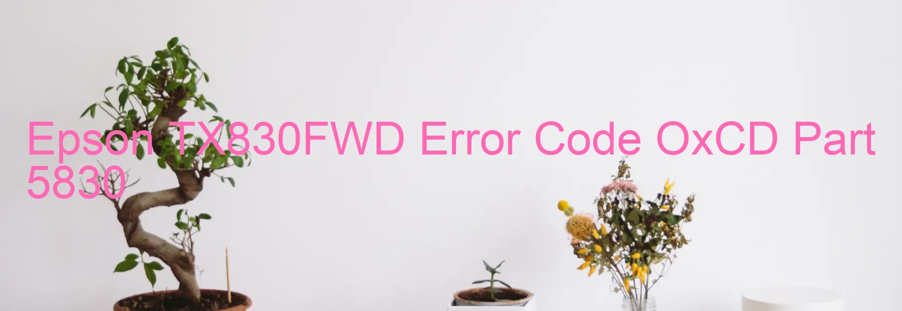 Epson TX830FWD Error Code OxCD Part 5830