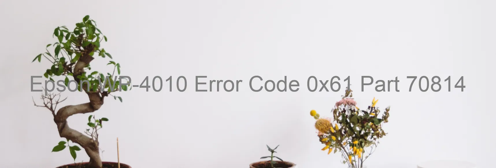 Epson WP-4010 Error Code 0x61 Part 70814