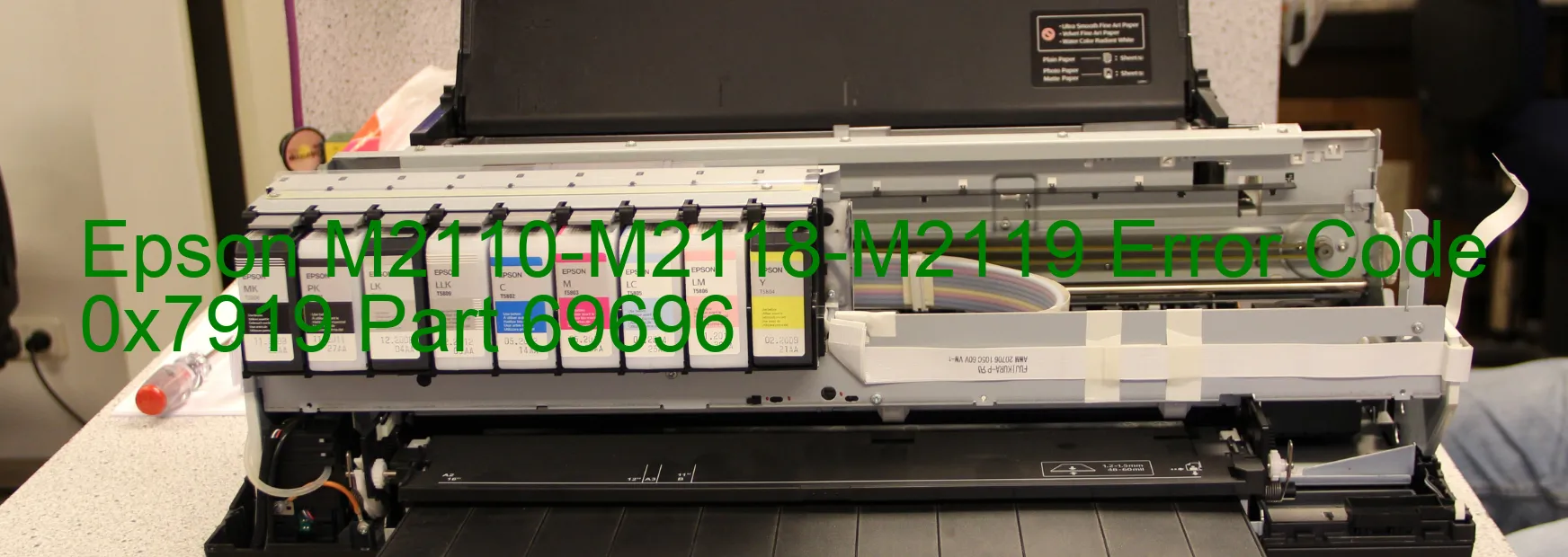 Epson M2110-M2118-M2119 Error 0x7919